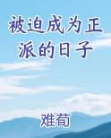 被迫成为正派的日子 难荀